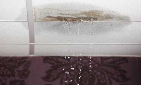 Plumber Sunshine North